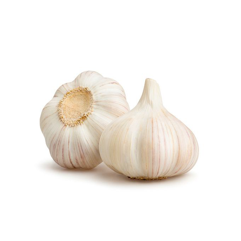 GARLIC1