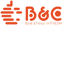 BClifestyle-logo2