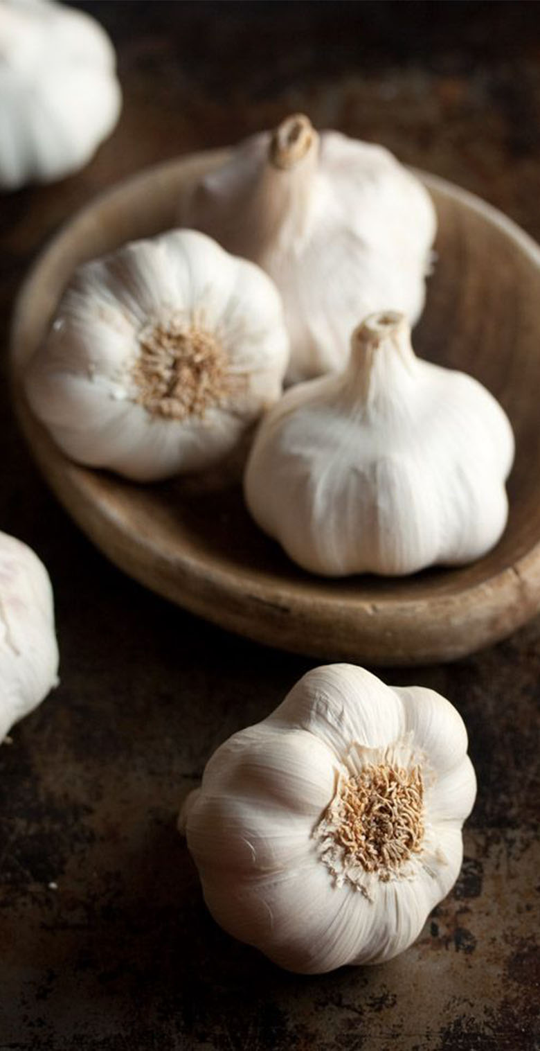 home_garlic2